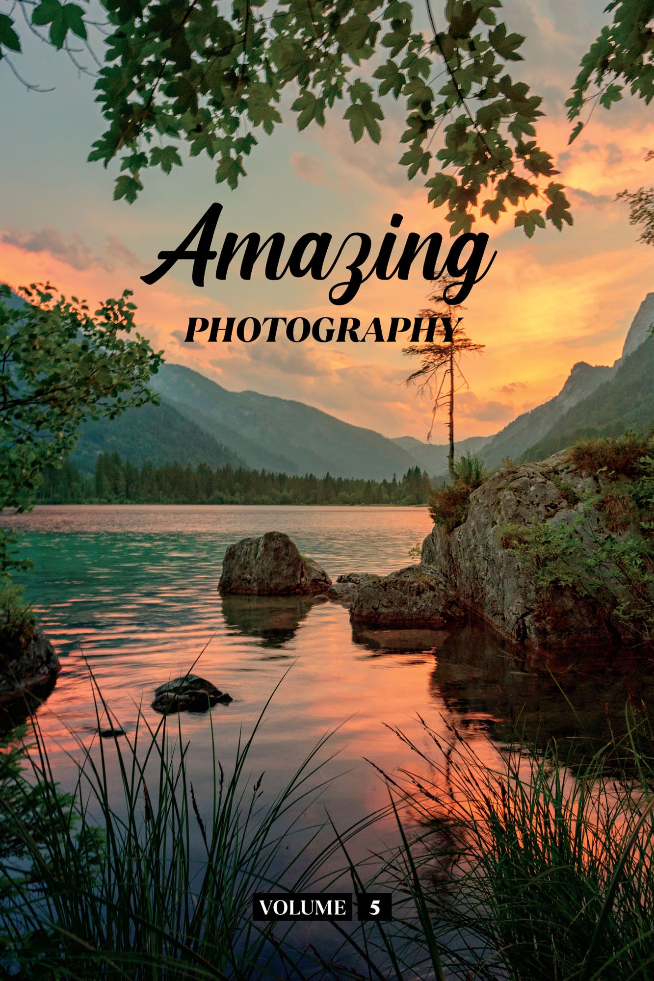 Amazing Photography Volume 5 (Physical Book)