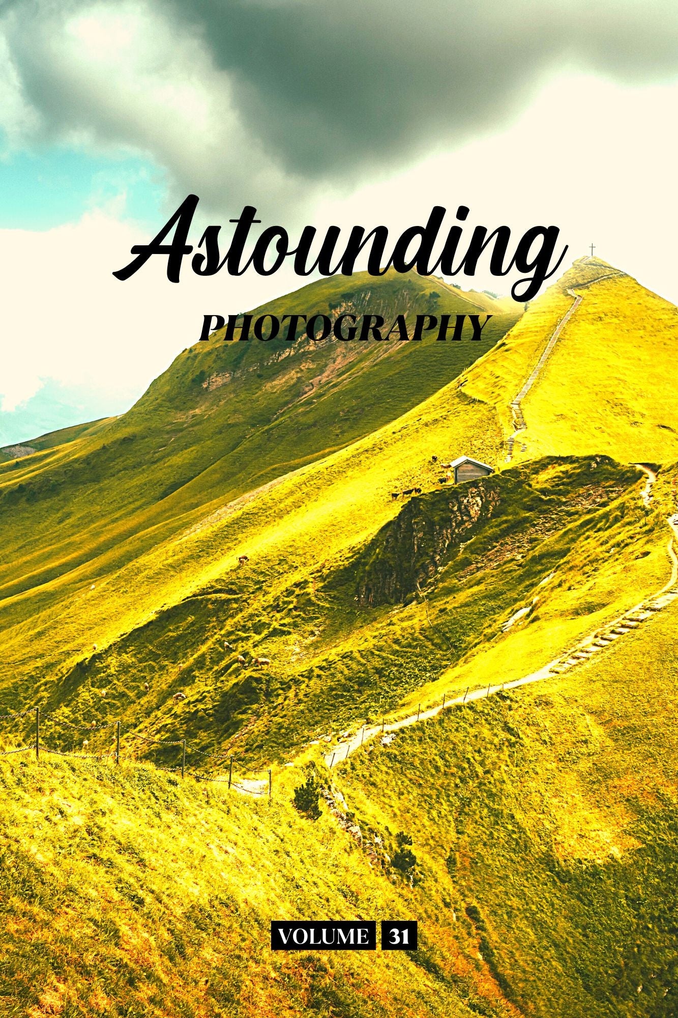 Astounding Photography Volume 31 (Physical Book Pre-Order)
