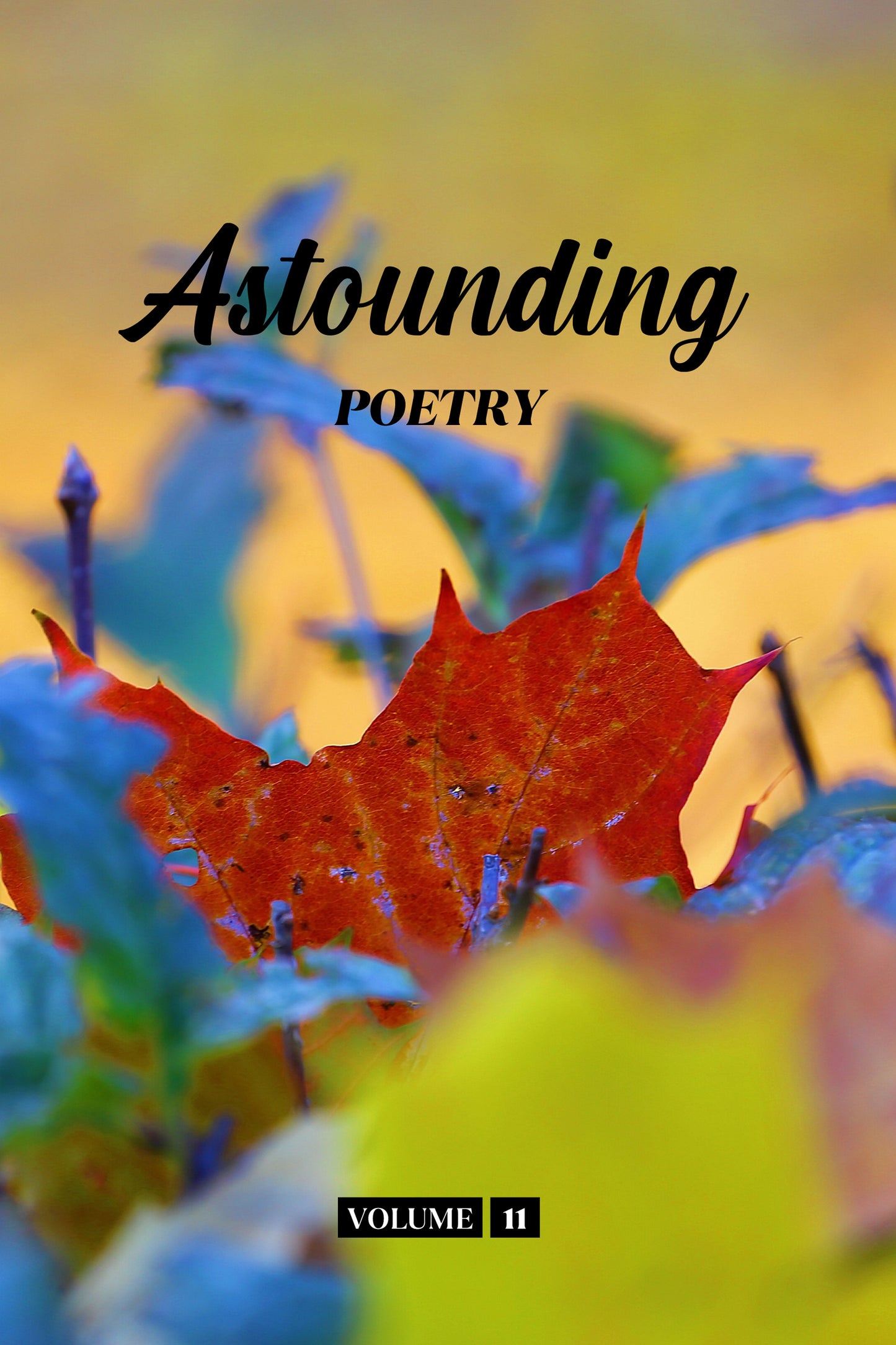 Astounding Poetry (Volume 11) - Physical Book