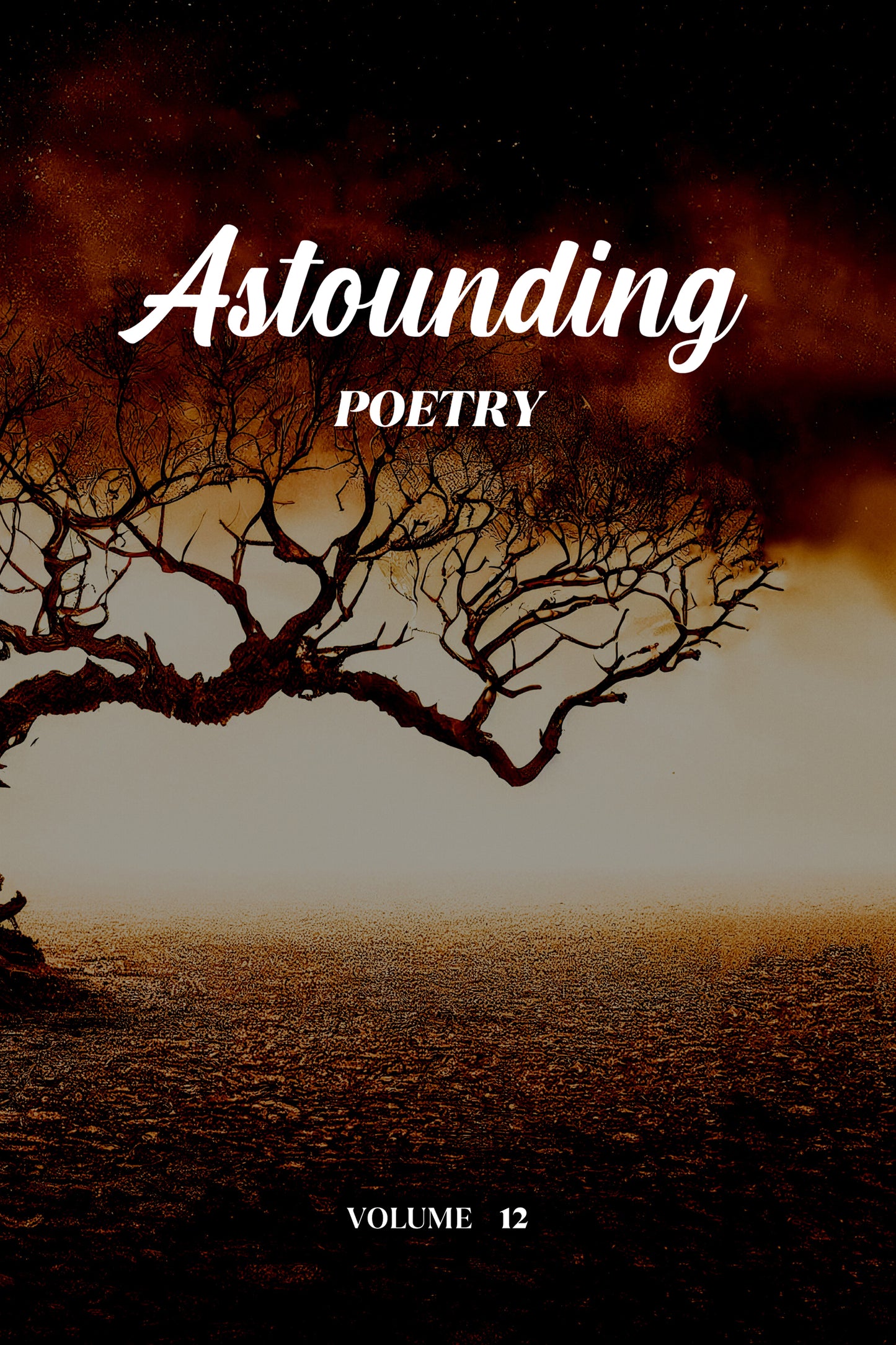 Astounding Poetry (Volume 12) - Physical Book