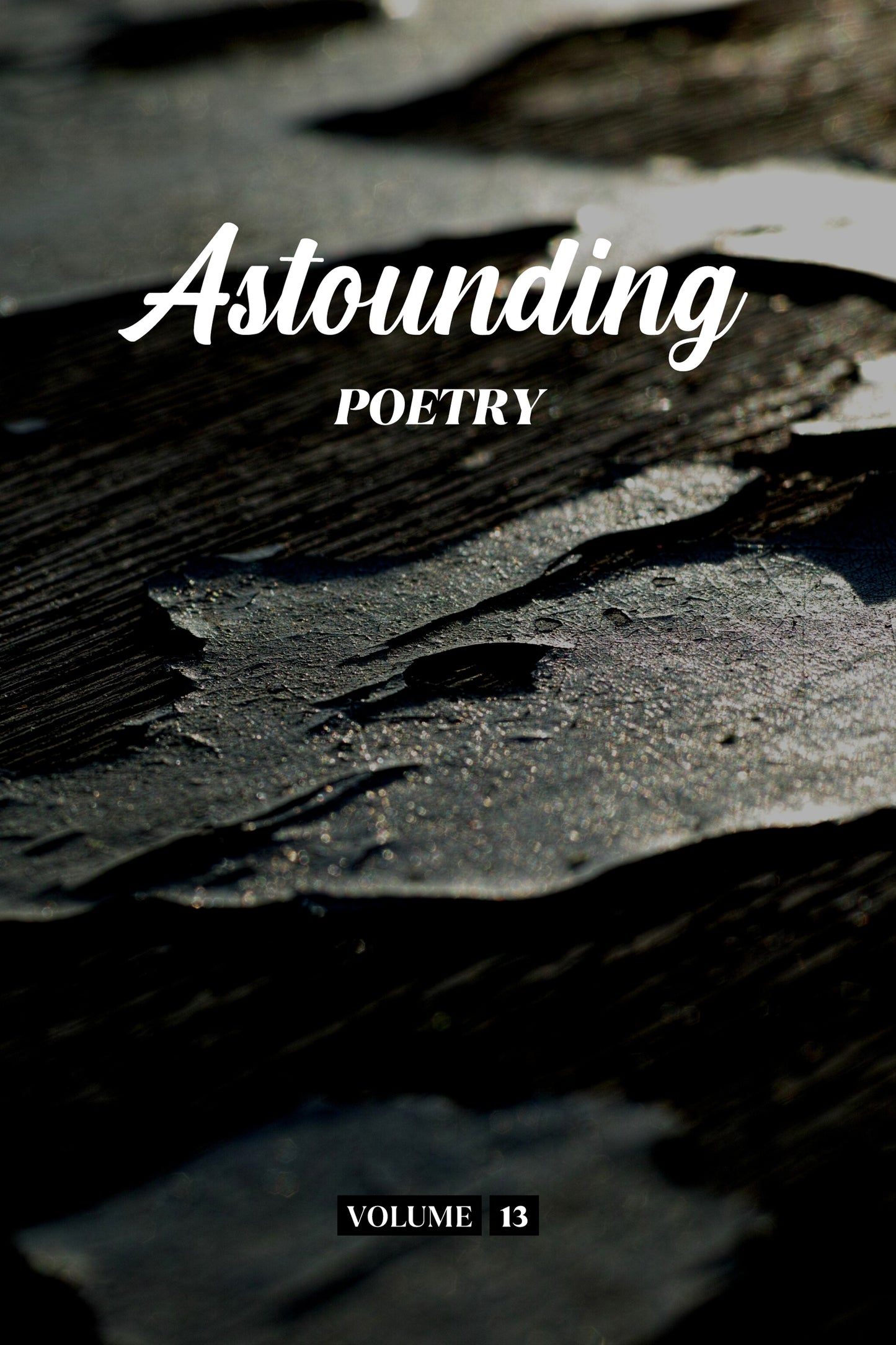 Astounding Poetry (Volume 13) - Physical Book