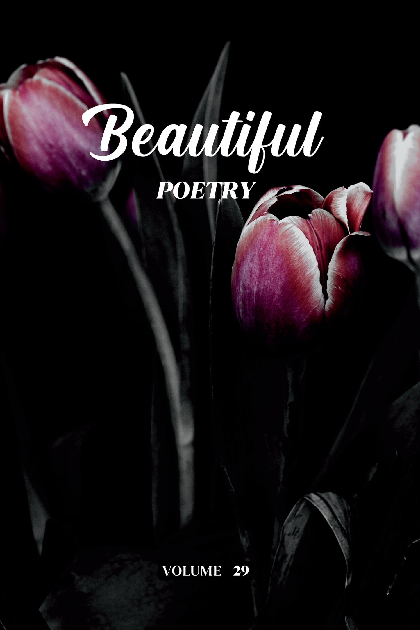Beautiful Poetry (Volume 29) - Physical Book (Pre-Order)