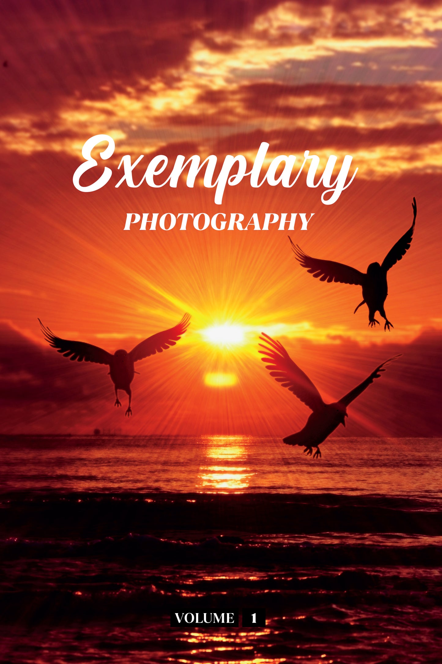 Exemplary Photography Volume 1 (Physical Book)