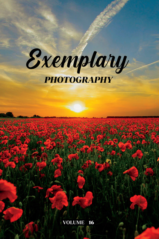 Exemplary Photography Volume 16 (Physical Book Pre-Order)