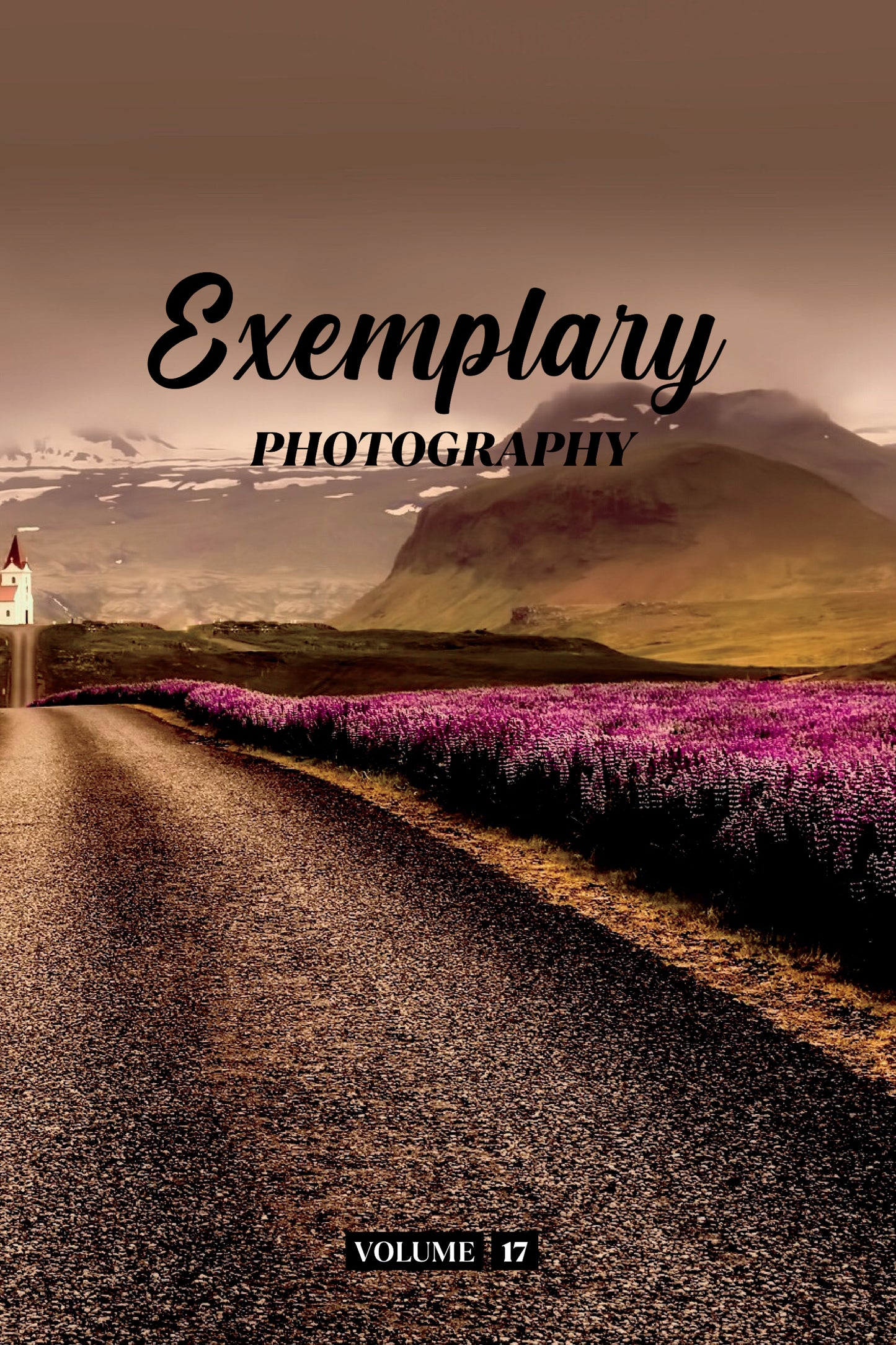 Exemplary Photography Volume 17 (Physical Book Pre-Order)