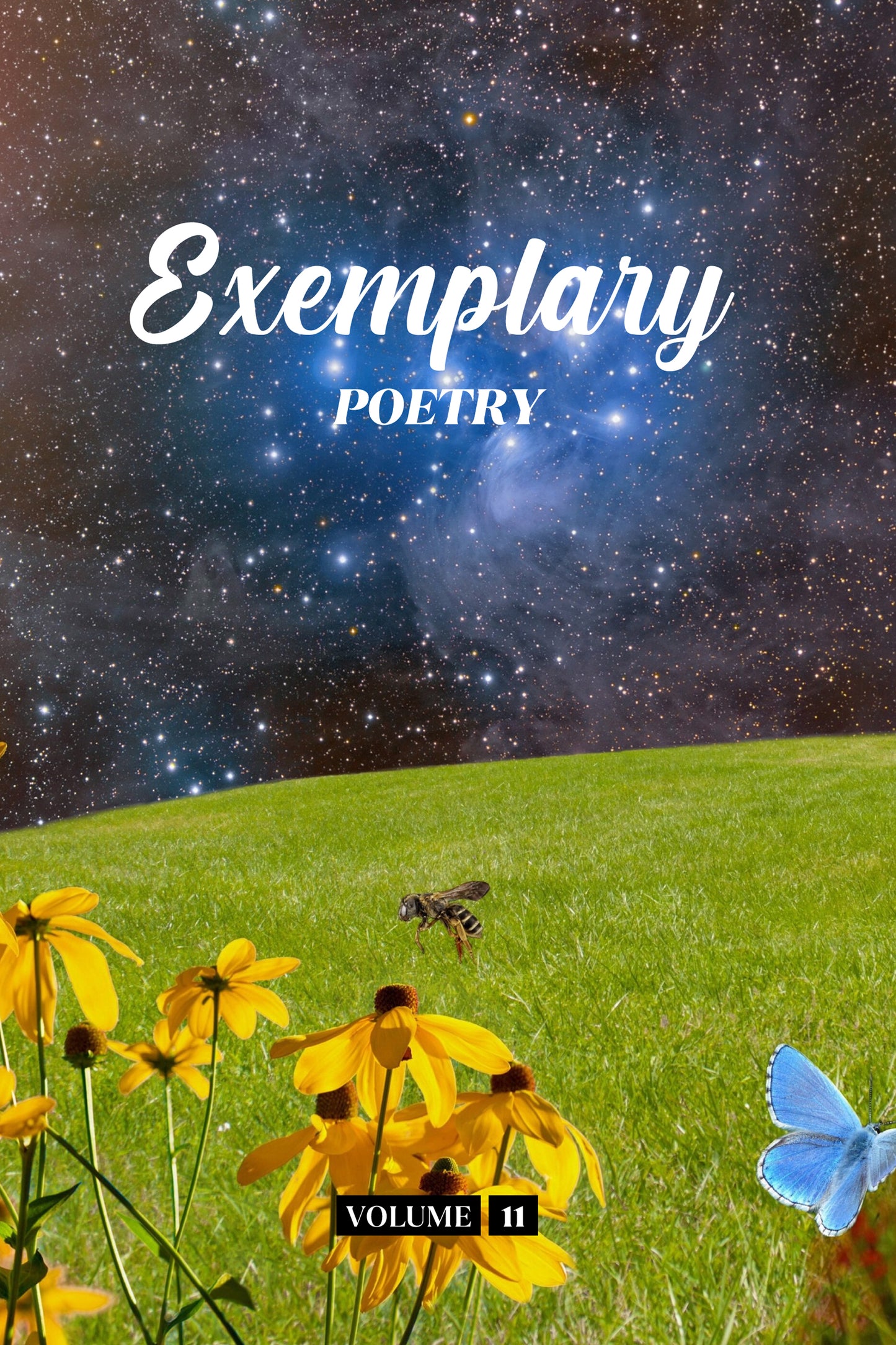 Exemplary Poetry (Volume 11) - Physical Book