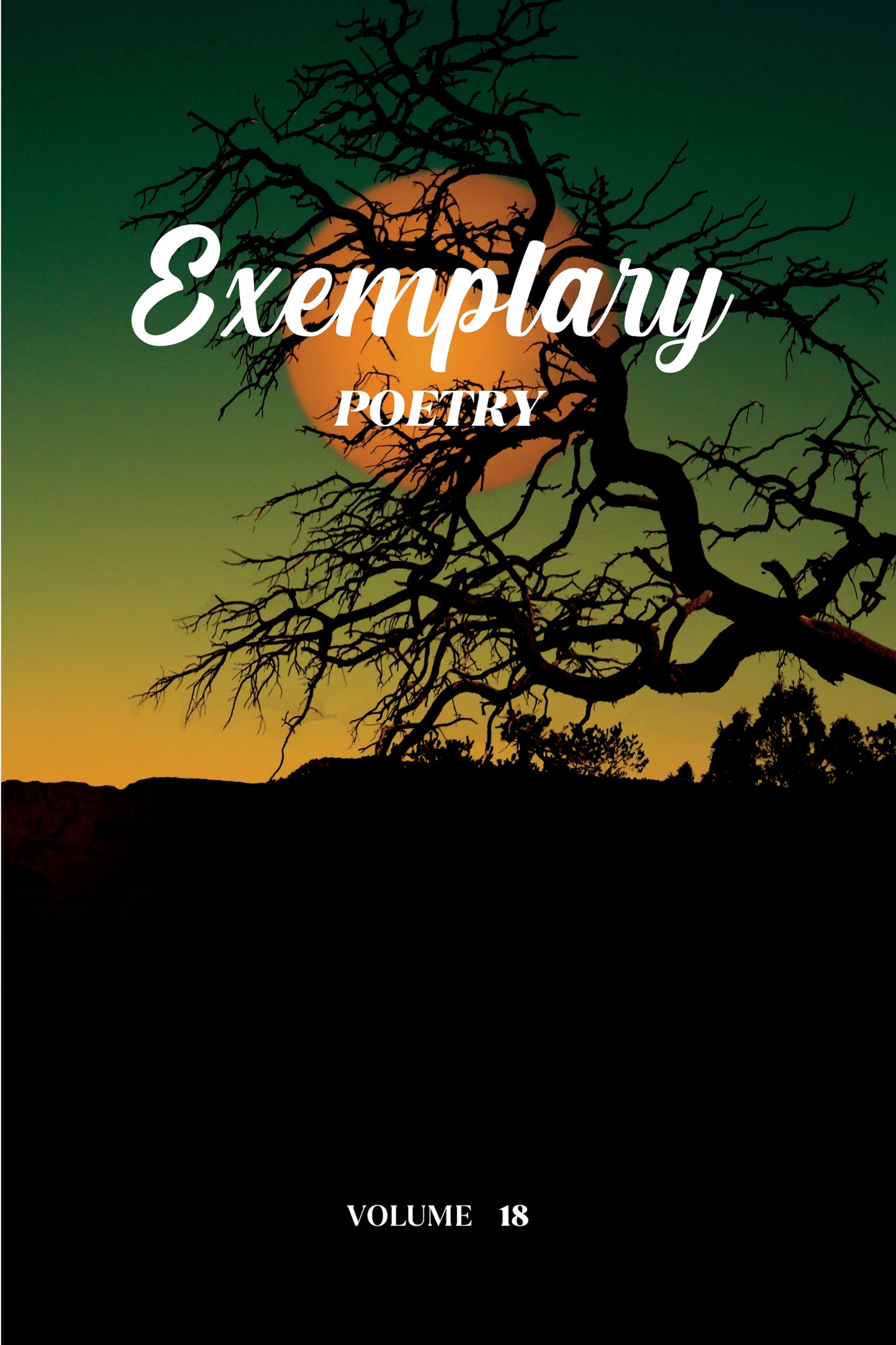 Exemplary Poetry (Volume 18) - Physical Book