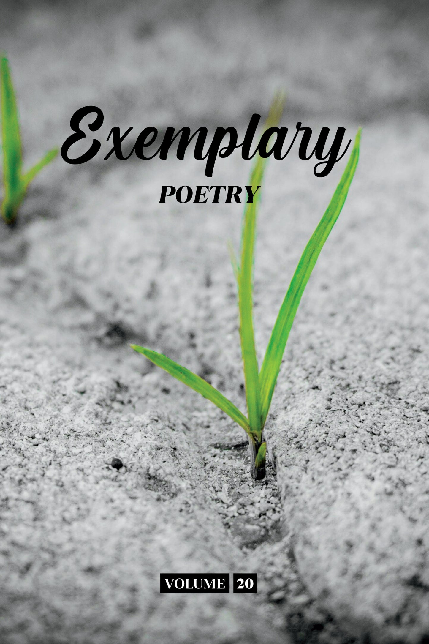 Exemplary Poetry (Volume 20) - Physical Book