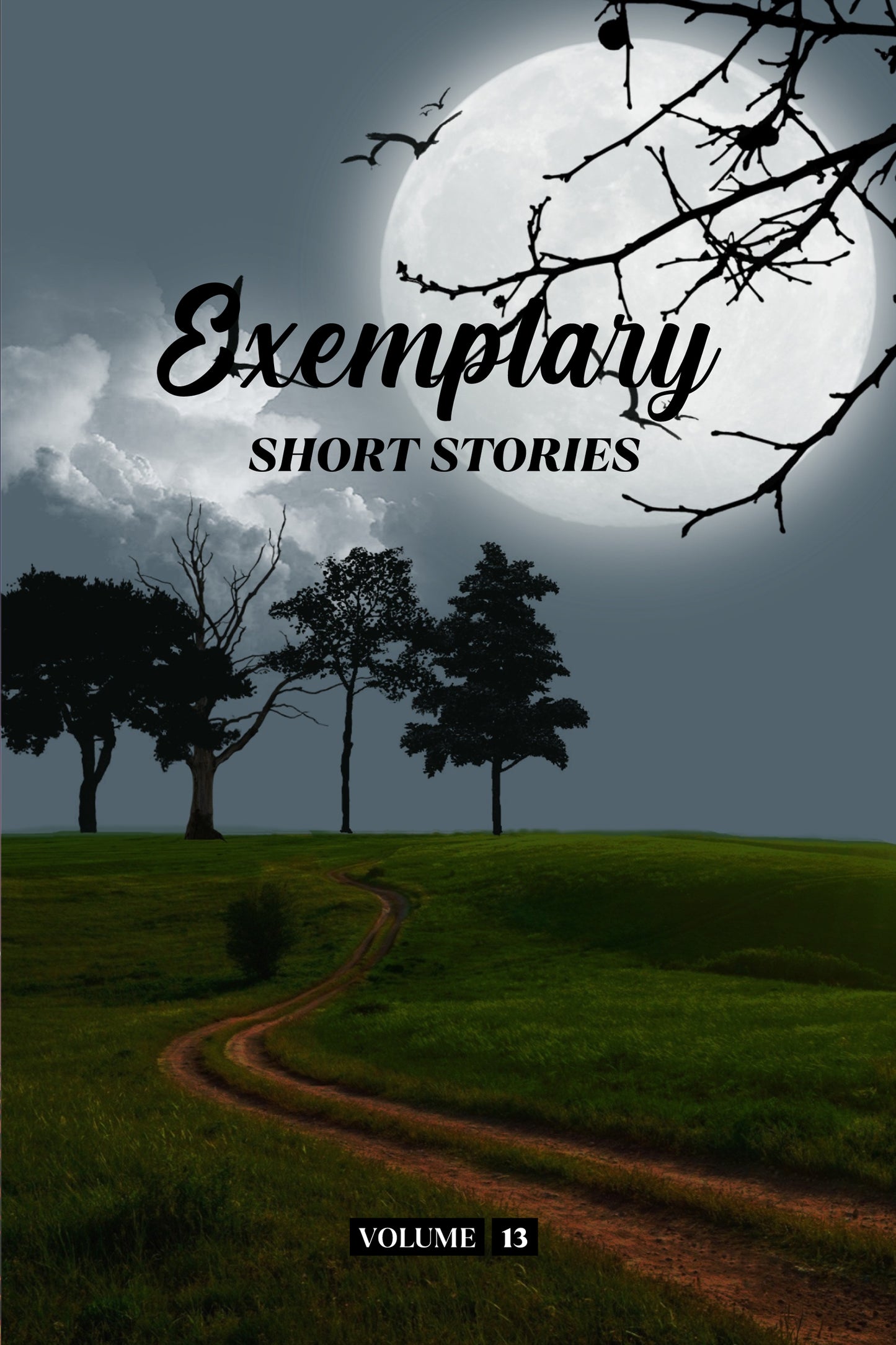 Exemplary Short Stories Volume 13 (Physical Book Pre-Order)