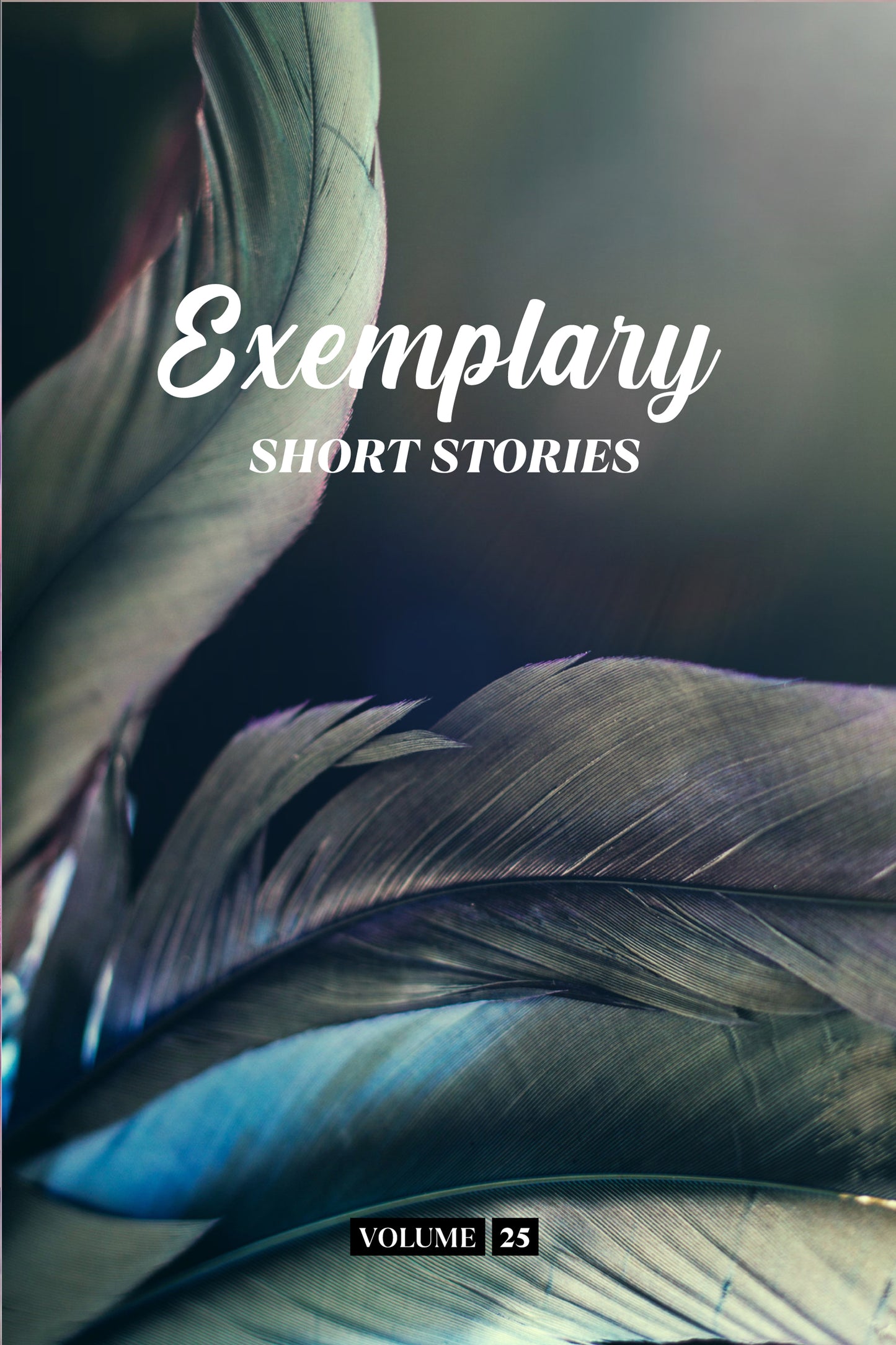 Exemplary Short Stories Volume 25 (Physical Book Pre-Order)