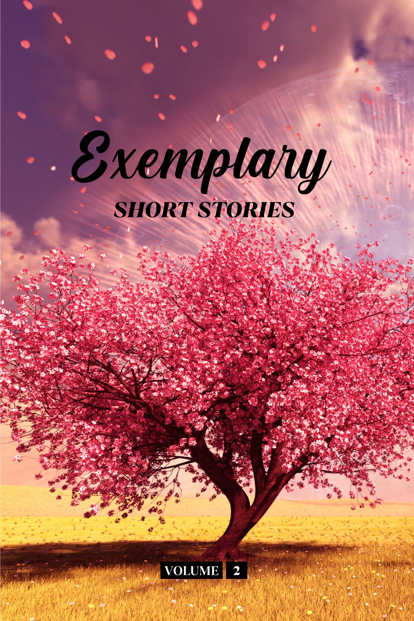 Exemplary Short Stories Volume 2 (Physical Book)