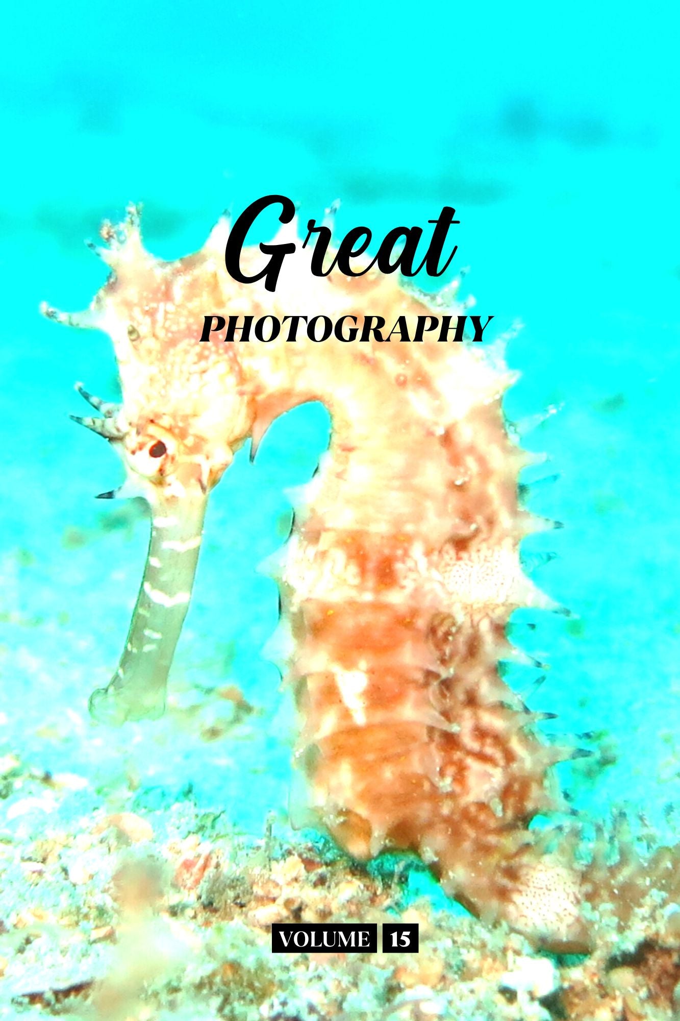 Great Photography Volume 15 (Physical Book)