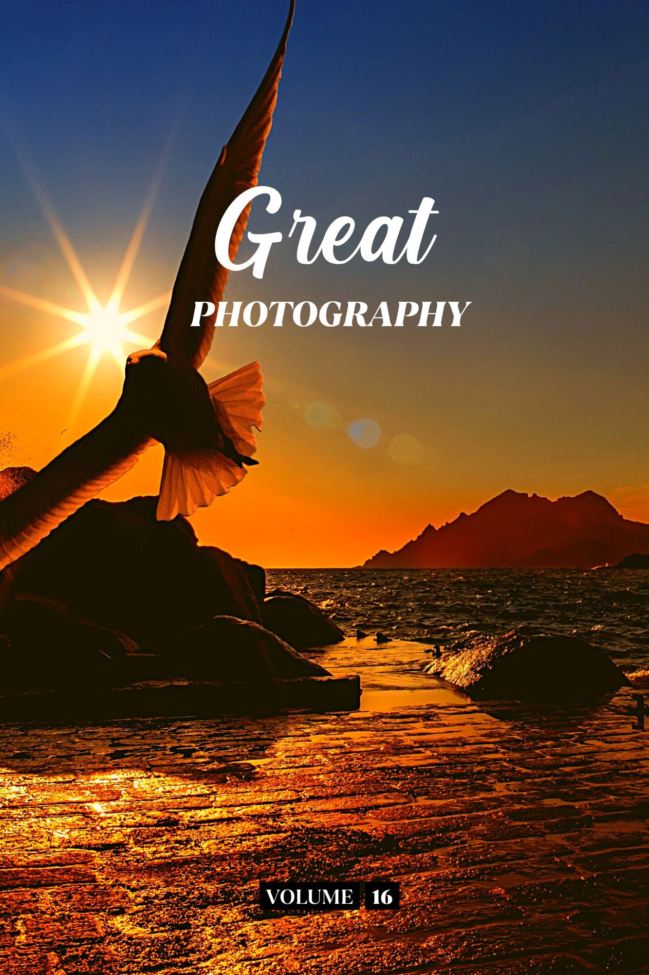 Great Photography Volume 16 (Physical Book Pre-Order)