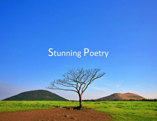 Stunning Poetry