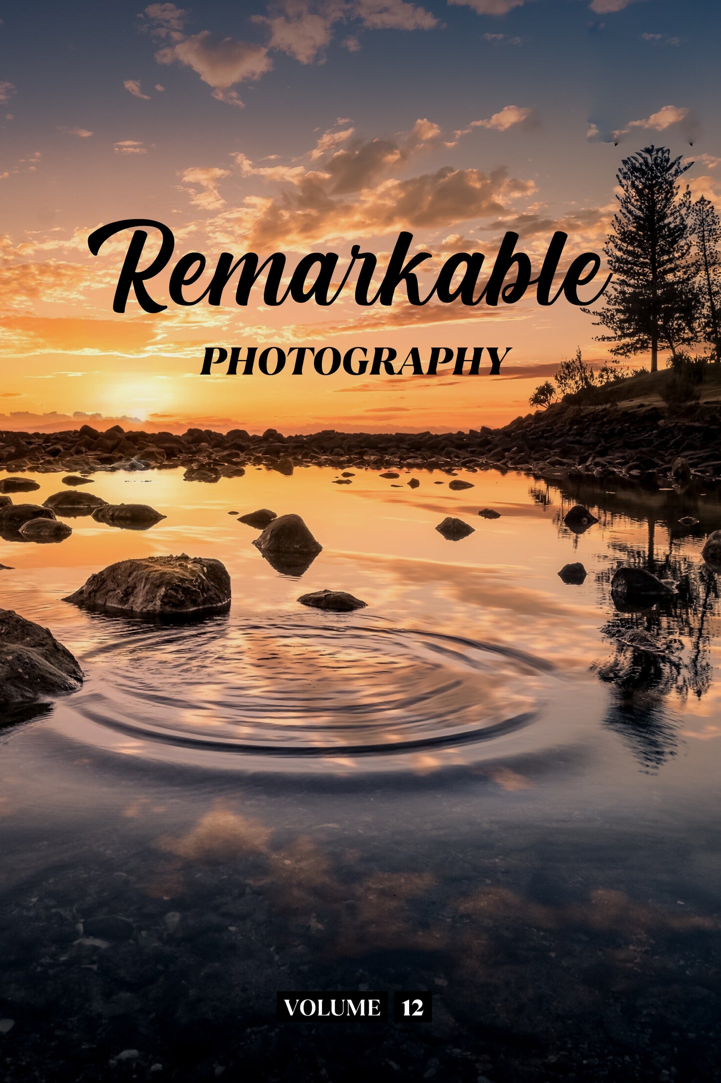 Remarkable Photography Volume 12 (Physical Book)