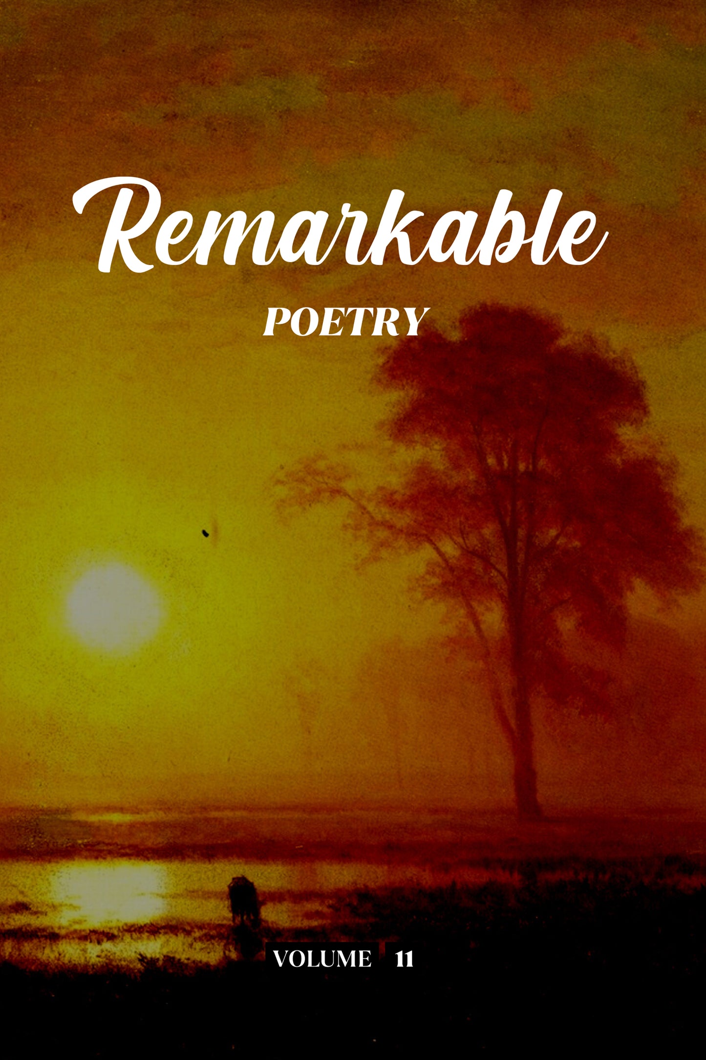 Remarkable Poetry (Volume 11) - Physical Book