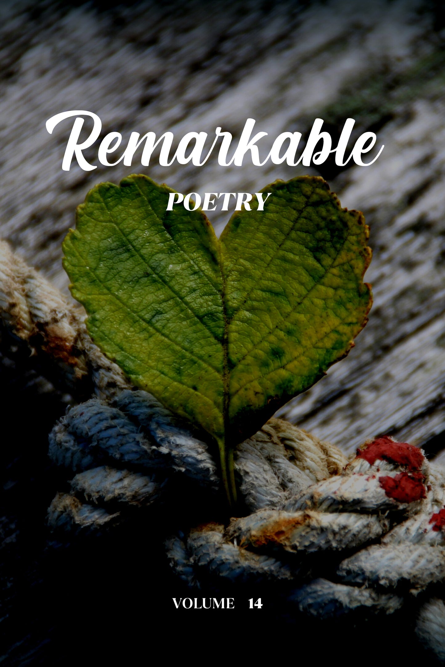 Remarkable Poetry (Volume 14) - Physical Book