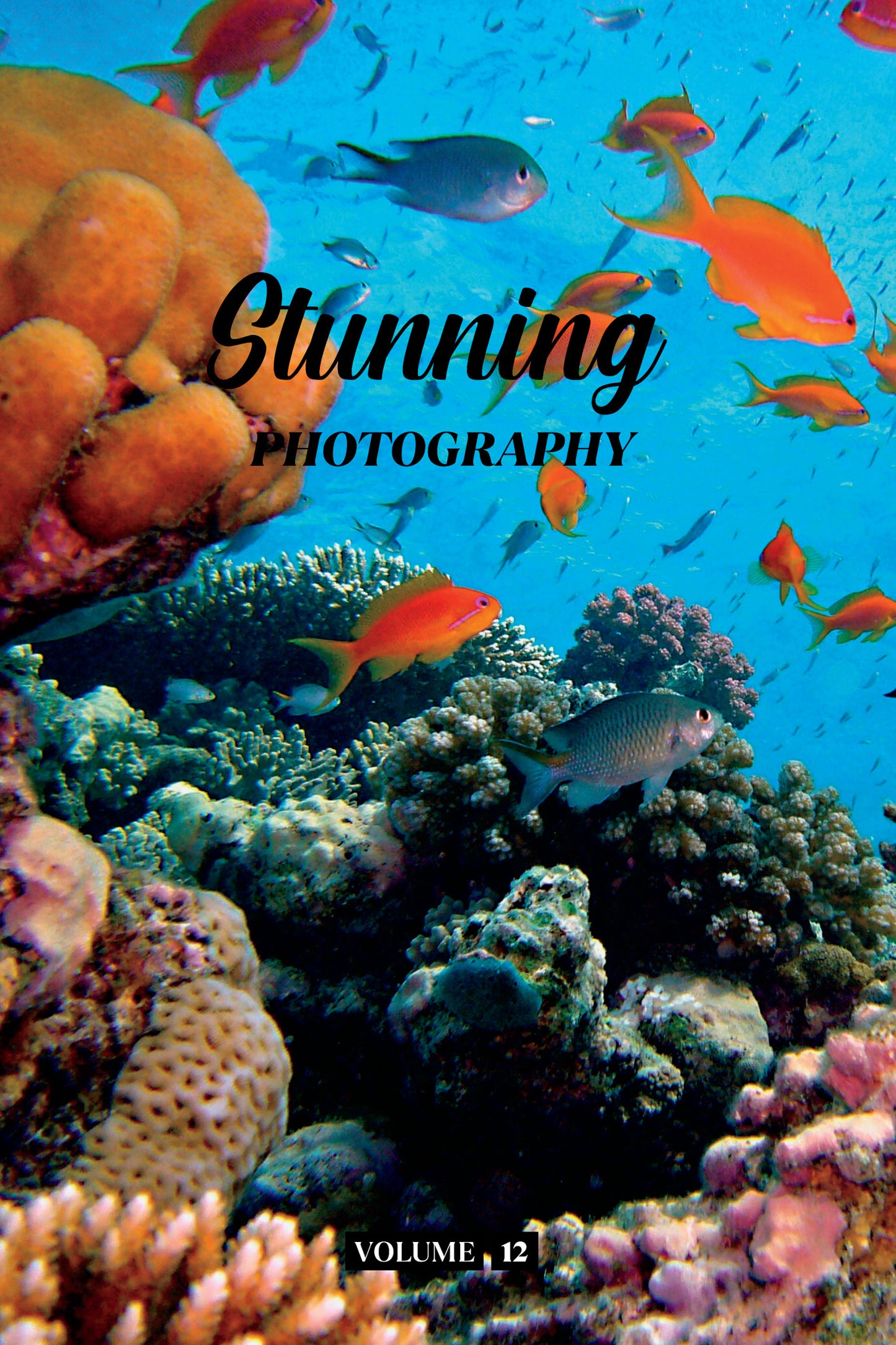 Stunning Photography Volume 12 (Physical Book)