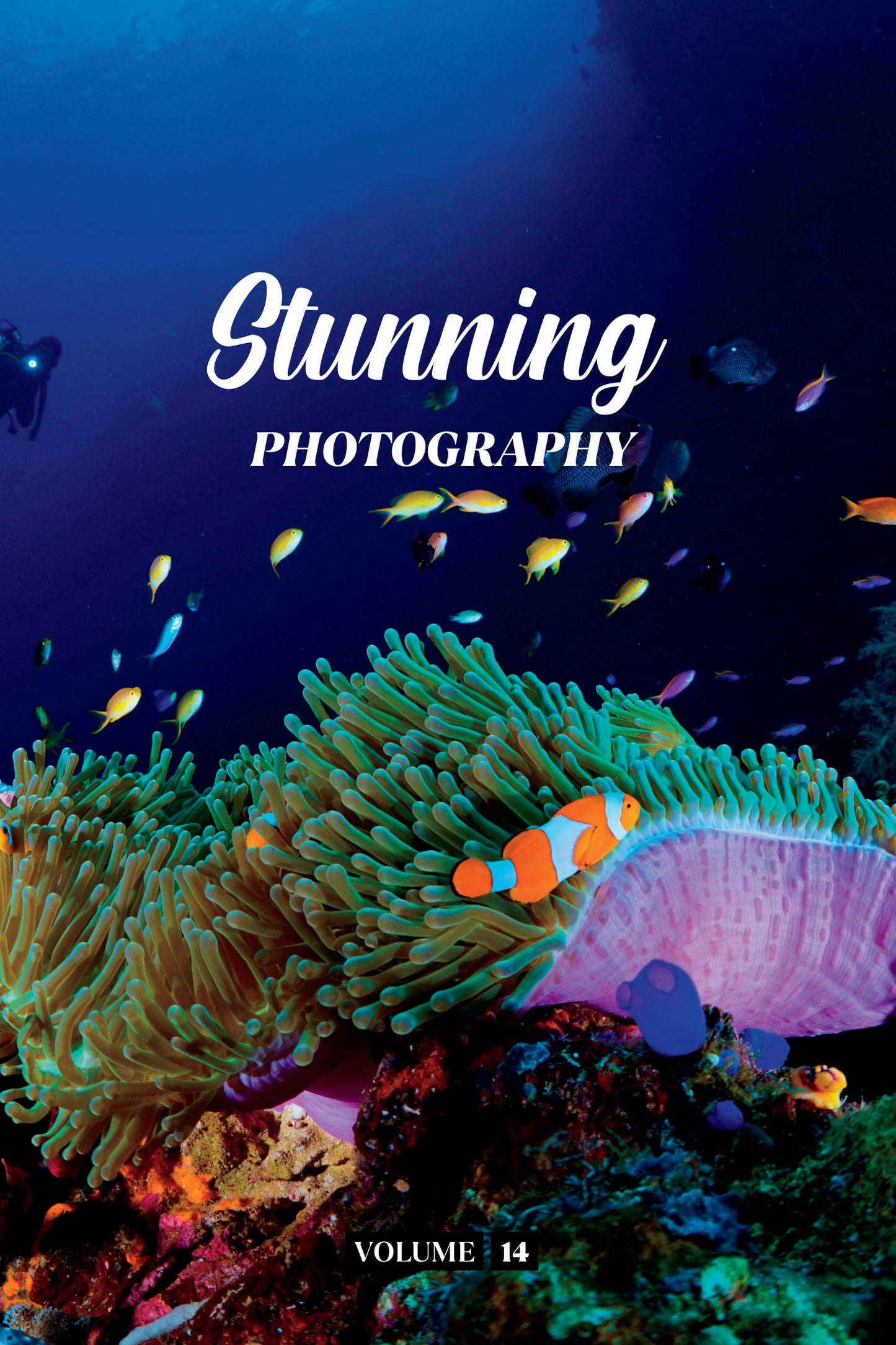 Stunning Photography Volume 14 (Physical Book)