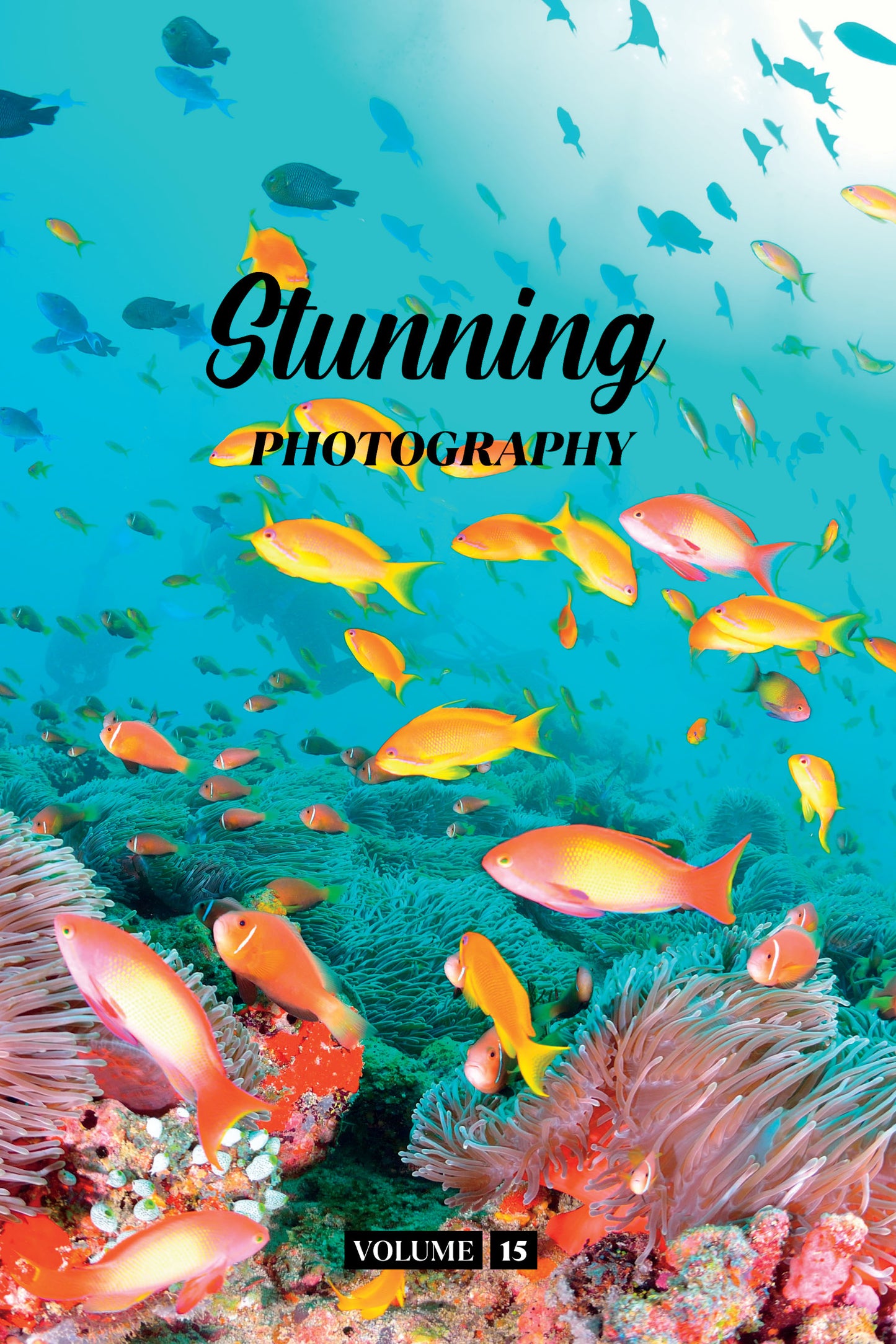 Stunning Photography Volume 15 (Physical Book)