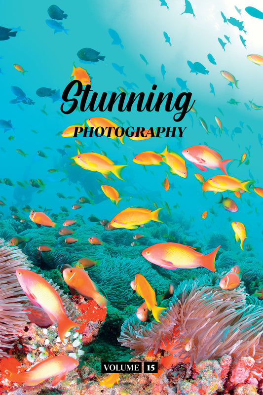 Stunning Photography Volume 15 (Physical Book)