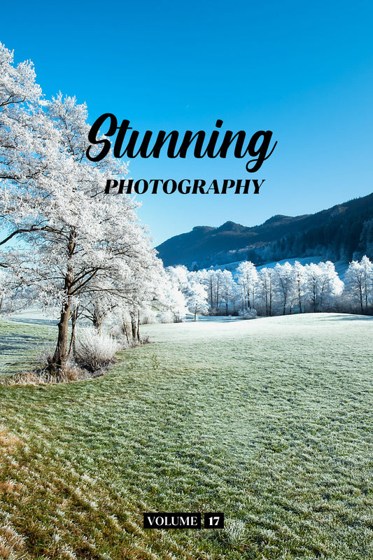 Stunning Photography Volume 17 (Physical Book)