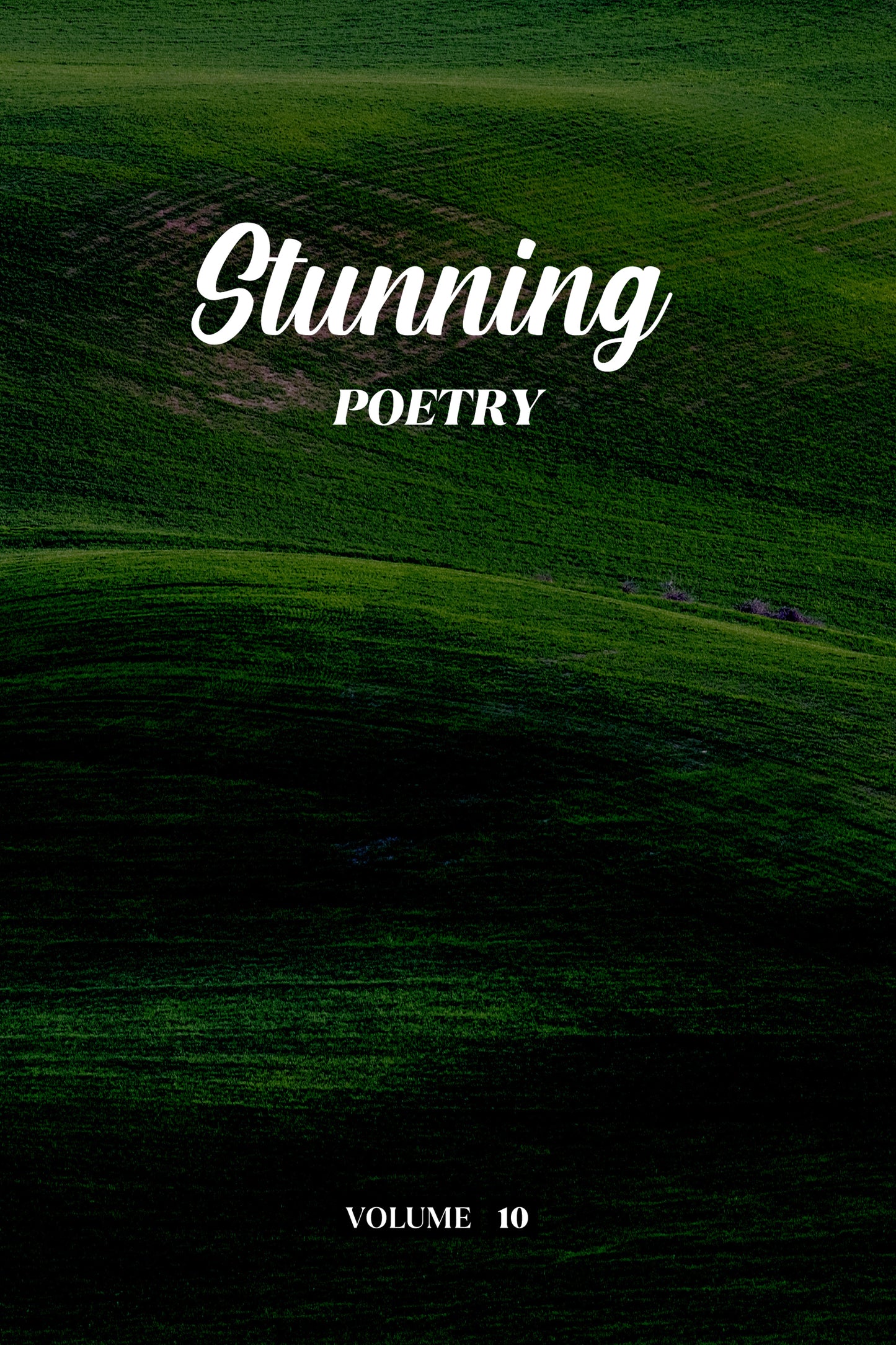 Stunning Poetry (Volume 10) - Physical Book