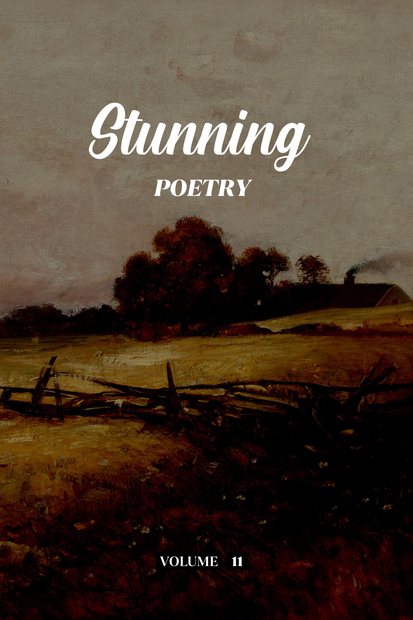 Stunning Poetry (Volume 11) - Physical Book