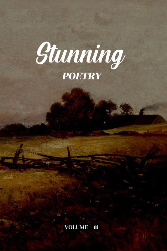 Stunning Poetry (Volume 11) - Physical Book