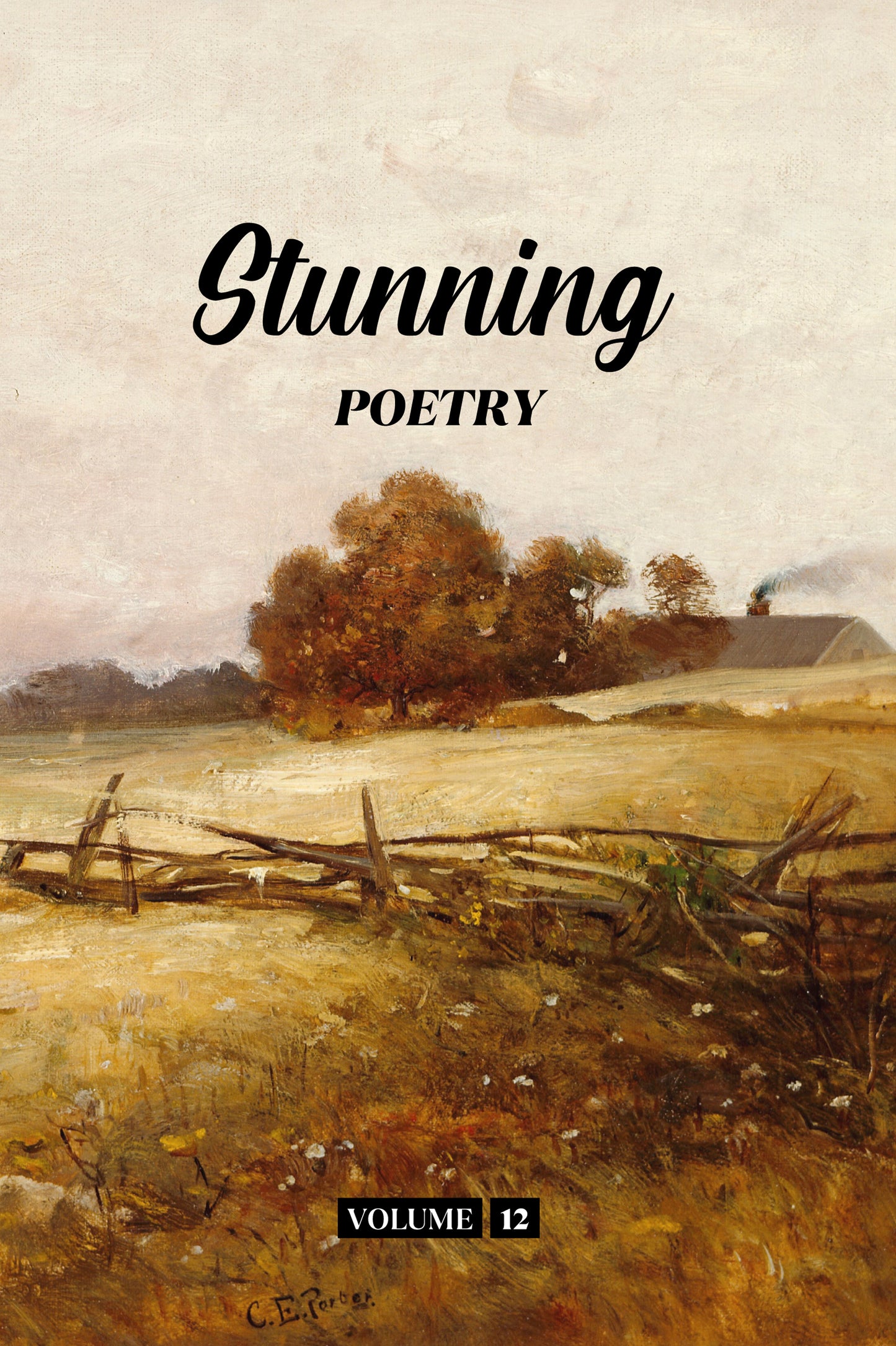 Stunning Poetry (Volume 12) - Physical Book