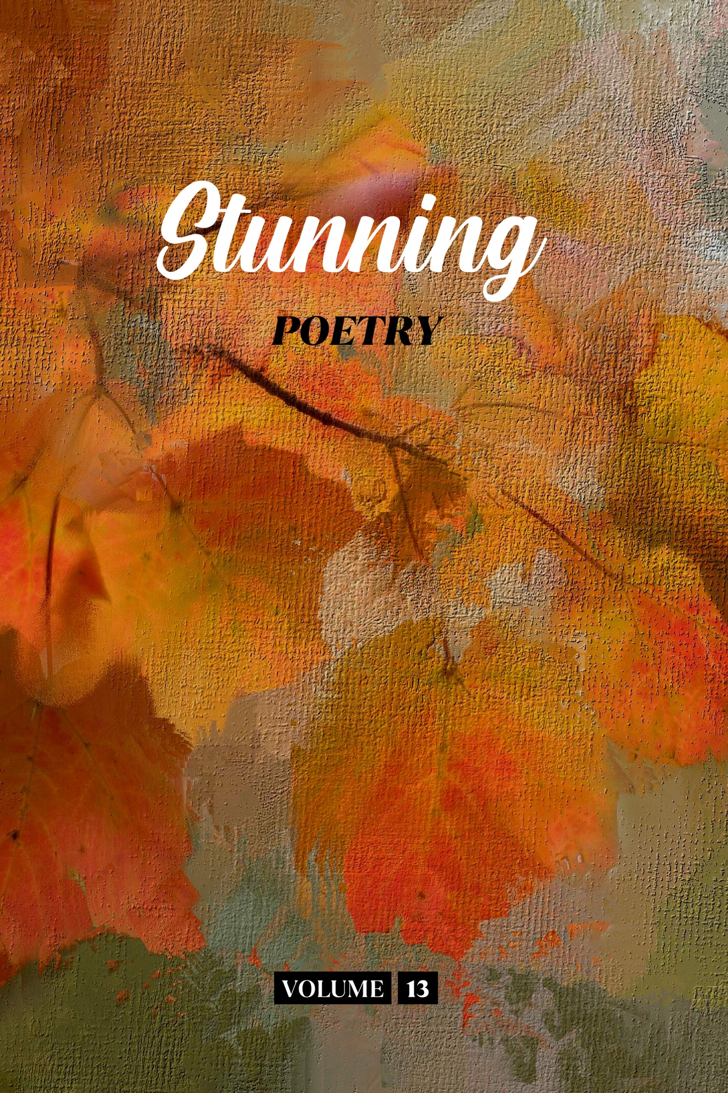 Stunning Poetry (Volume 13) - Physical Book