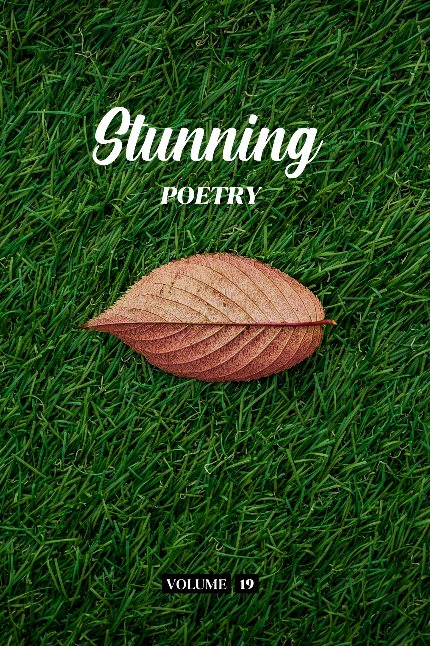 Stunning Poetry (Volume 19) - Physical Book