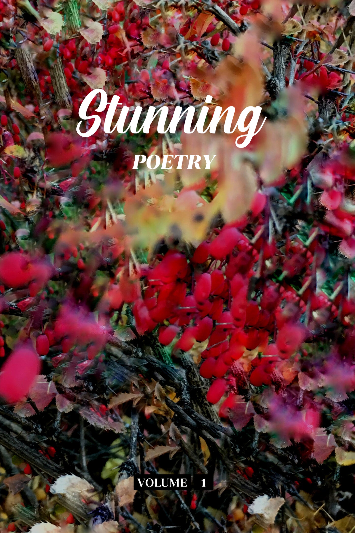 Stunning Poetry (Volume 1) - Physical Book